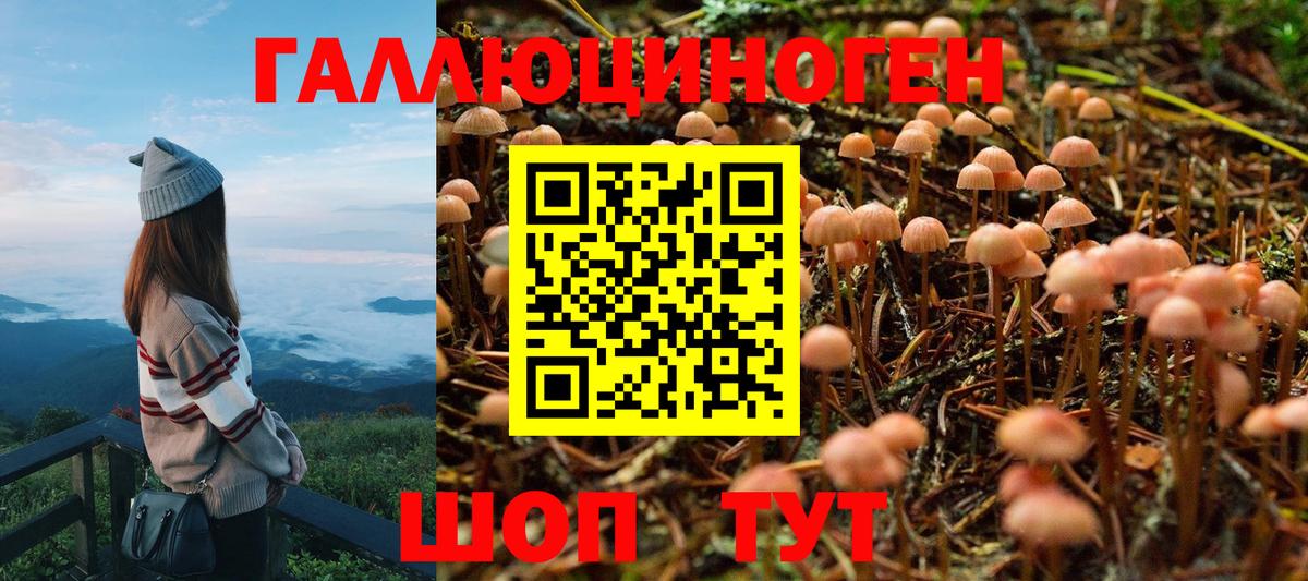 Галлюциногенные грибы Cubensis Краснознаменск